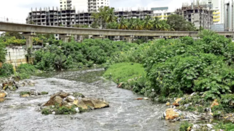 Bengaluru's Vrishabhavathi River Pollution Poses Severe Health Risks, Study Warns