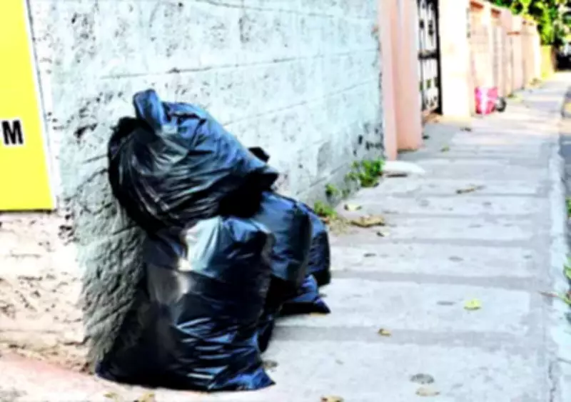 Bihar's New Waste Management Rules: Segregation Mandatory from April 1