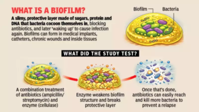 BITS Pilani Study Reveals Enzyme Strategy to Boost Antibiotics Against Biofilms