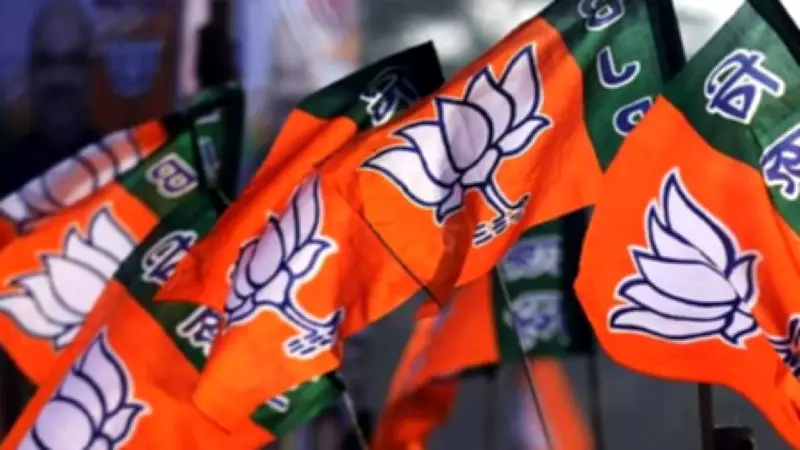BJP Dominates Political Funding, Accounts for Over 91% of National Party Donations in FY25