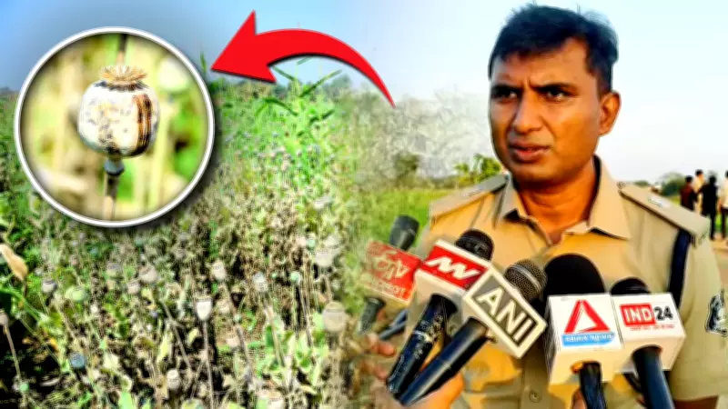 BJP Leader in Chhattisgarh Arrested After Opium Crop Found Hidden in Maize Field