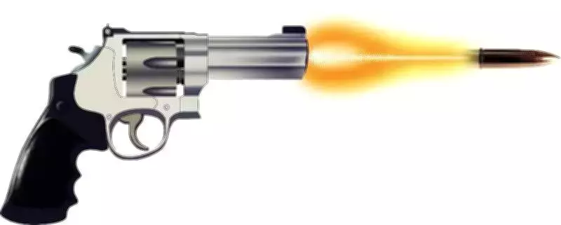 BJP Leader Trilokesh Dhali Survives Gun Attack in Gangasagar, Political Conspiracy Alleged