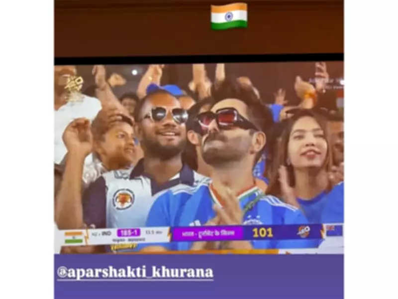 Bollywood Stars Cheer for India at T20 Final, Basil Joseph Flaunts Sanju Samson Jersey