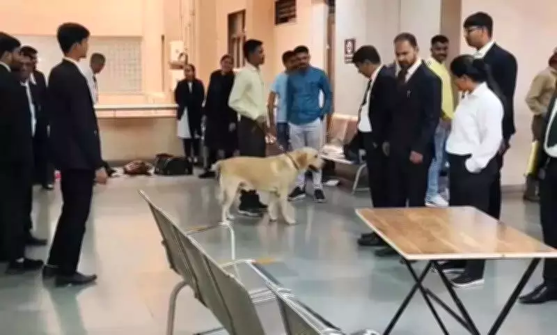 Bomb Hoax Triggers High Alert at Vadodara District Court, Investigation Underway