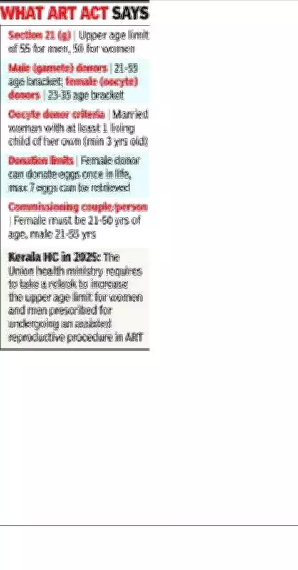 Bombay High Court Appoints Amicus Curiae in Women's ART Age Limit Challenge