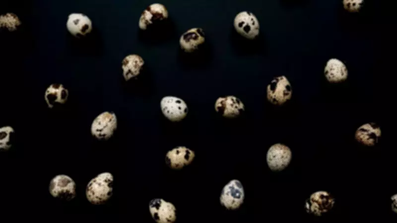 Brazilian Geraisites: Evidence of a 6-Million-Year-Old Meteorite Impact Discovered