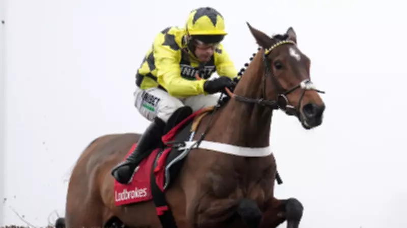 British Racing Star Sir Gino Dies After Illness Battle, Trainer Henderson Mourns