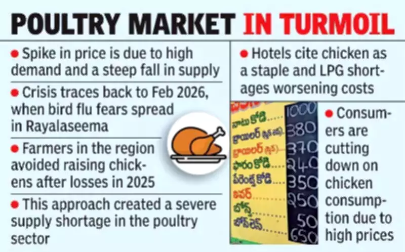 Broiler Chicken Prices Hit Record ₹380/kg in Vijayawada Amid Supply Crisis