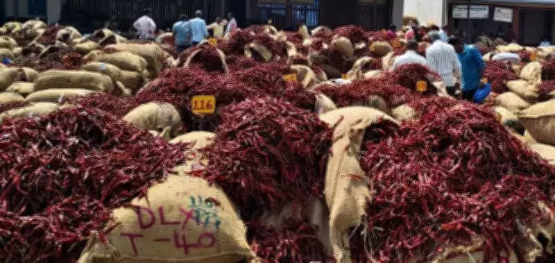 Byadagi Chilli Crisis: West Asia Conflict Halts Exports, Strands Crores Worth of Produce