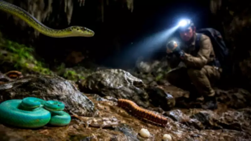 Cambodia's Hidden Caves Reveal New Species Including Flying Snakes