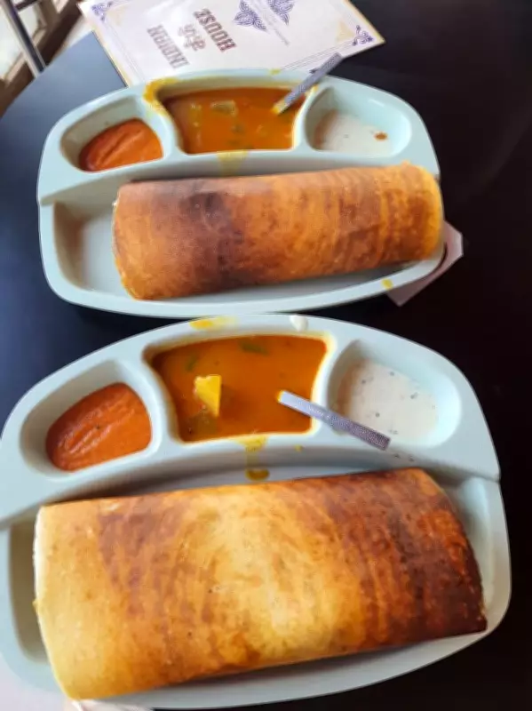 Campus Classic: The Enduring Appeal of College-Themed Entertainment