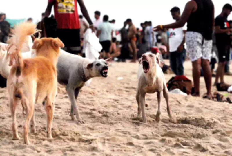 Canine Distemper Outbreak Threatens Goa's Rabies-Controlled Status