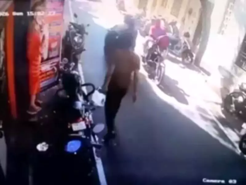 CCTV Footage Goes Viral as Donation Box Stolen from Chennai Sai Baba Temple