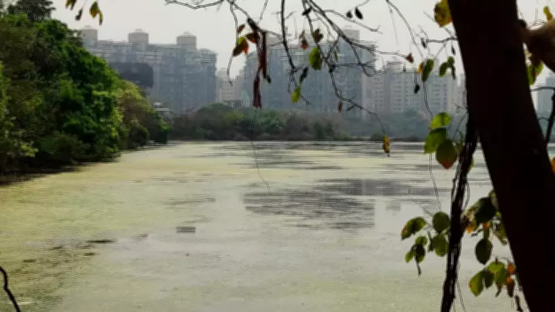 Central Government Takes Swift Action on Navi Mumbai's Toxic Wetlands Within 24 Hours