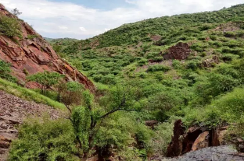 Centre Backs Supreme Court Panel for Aravalli Definition, Forms Expert Committee