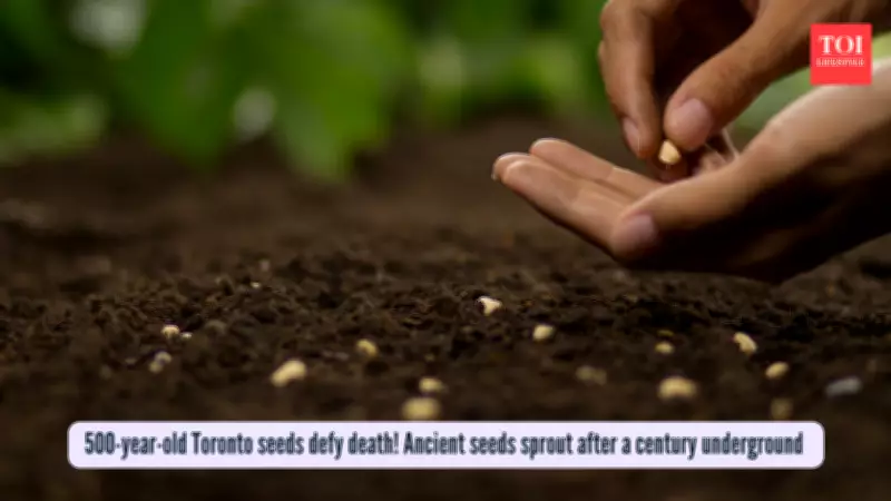 Century-Old Seeds Sprout in Toronto, Revealing Lost Wetland Ecosystem