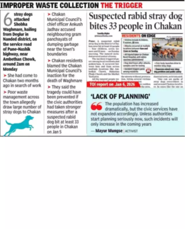 Chakan Stray Dog Attack: Activists Blame Civic Inaction for Woman's Death