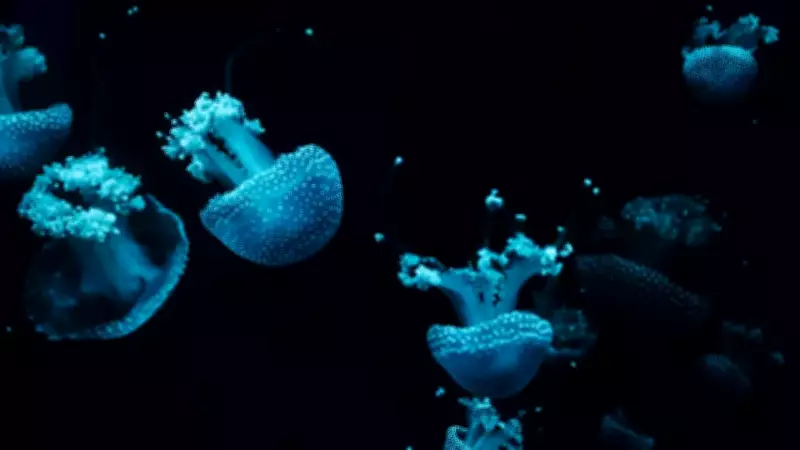 Challenger Deep: Earth's Final Frontier in the Ocean's Abyss