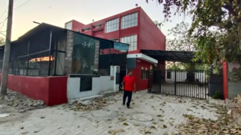 Chandigarh MC May Relocate Dogs from Raipur Kalan Today