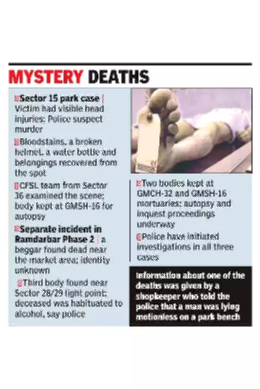 Chandigarh Police Probe Three Mysterious Deaths in 24 Hours Across City