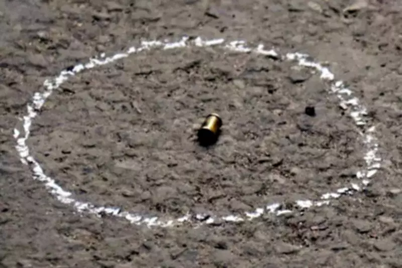 Chandigarh Sees Third Minor-Involved Shooting in Five Days, Police Launch Manhunt