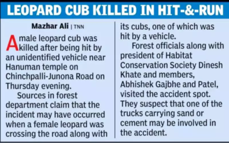 Chandrapur's 2021 Tiger Conflict Report Remains Unimplemented, Says Activist