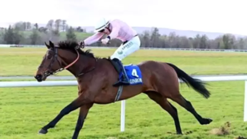 Cheltenham Festival 2026 Begins with Tragedy as Horse Hansard Dies in Arkle Race