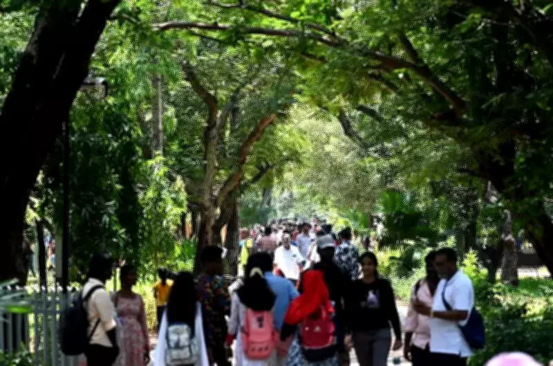 Chennai Launches 10 Crore Green Scheme to Combat Urban Heat with Native Trees