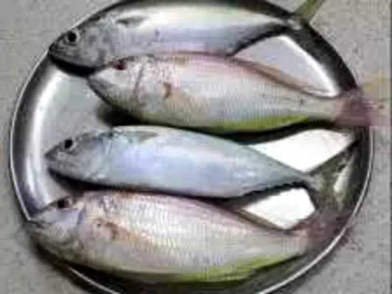 Chennai Seafood Crisis: Pre-Ban Shortage Sends Prices Soaring Amid Cylinder Costs