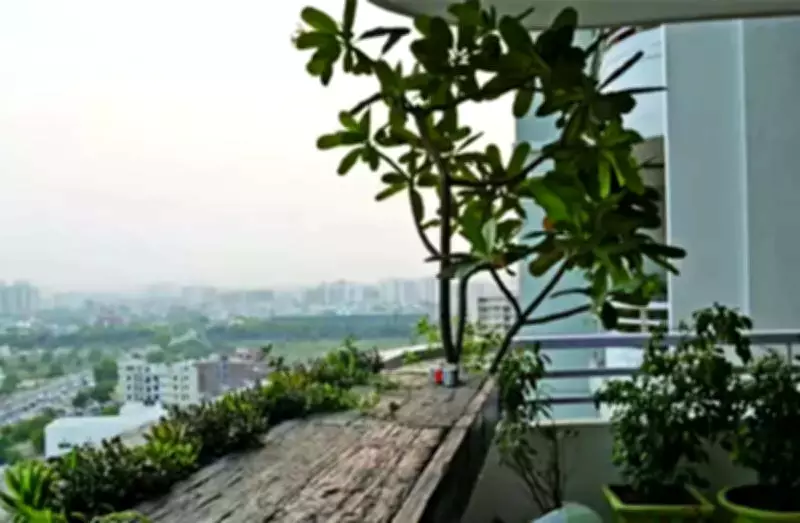 Chennai Study: Native Indoor Plants Reduce Home Air Pollution, Impact Limited