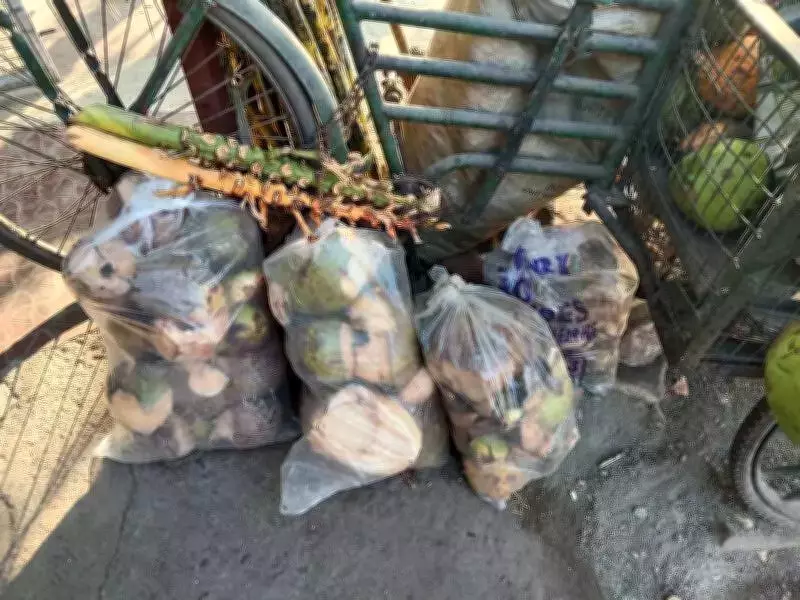 Chennai Tender Coconut Vendors Struggle as Green Waste Collection Halts
