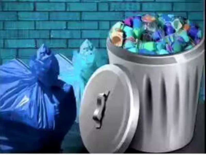 Chennai's Garbage Crisis: Streets Piled with Waste, Residents Complain of Health Hazards