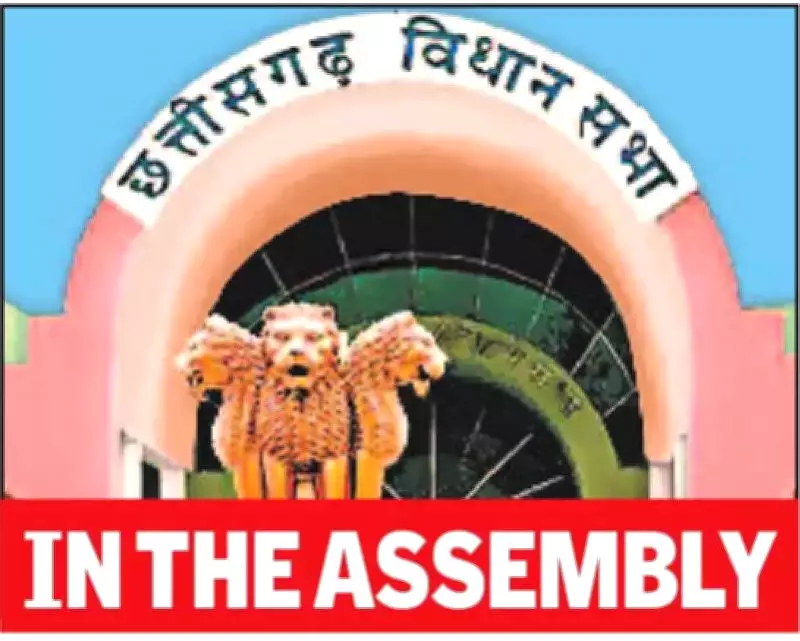 Chhattisgarh Assembly Erupts Over Voter List Deletions, Opposition Walks Out