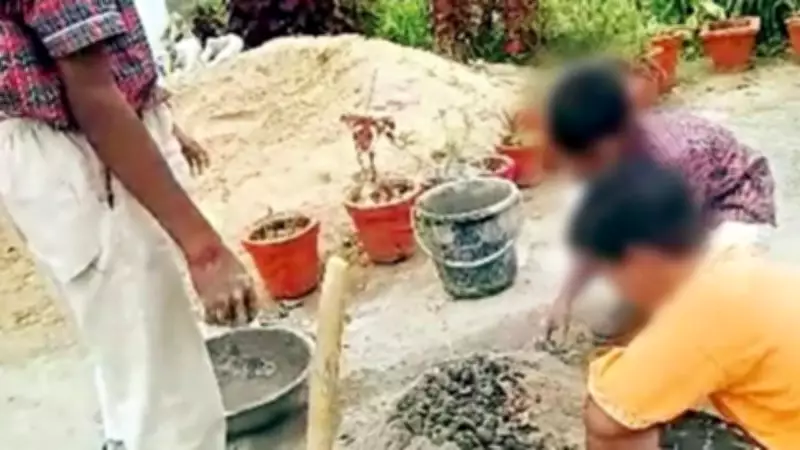 Chhattisgarh HC Takes Suo Motu Action on RTE Students Forced into Labor