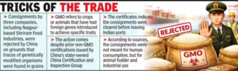 China Rejects Indian Rice Over GMO Claims, Threatening $3M Tonne Export Market