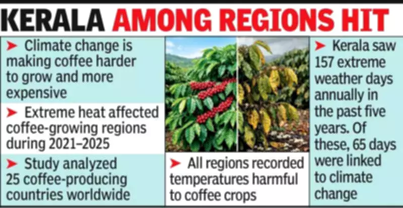 Climate Change Drives Up Coffee Prices, Threatens Production in Kerala