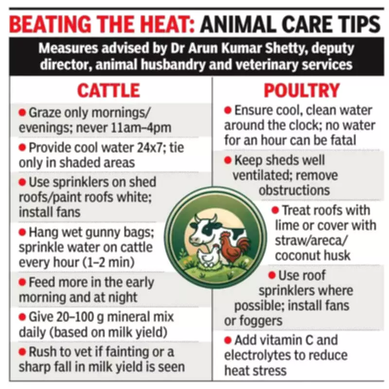 Coastal Karnataka Heatwave Threatens Livestock Health and Economy