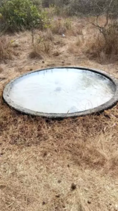 Coastal Karnataka's Artificial Water Pits Provide Lifeline to Wildlife Amid Scorching Summer