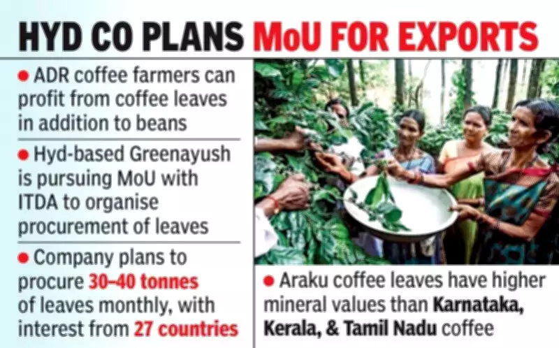 Coffee Farmers in Andhra Pradesh to Profit from Leaves, Not Just Beans