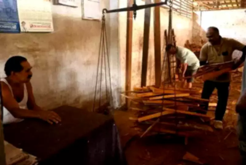 Coimbatore's Vulnerable Homes Forced to Use Unaffordable Firewood Amid LPG Crisis