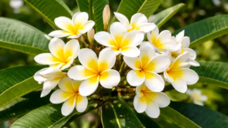 Complete Guide to Growing Fragrant Ketaki Flowers in Your Home Garden