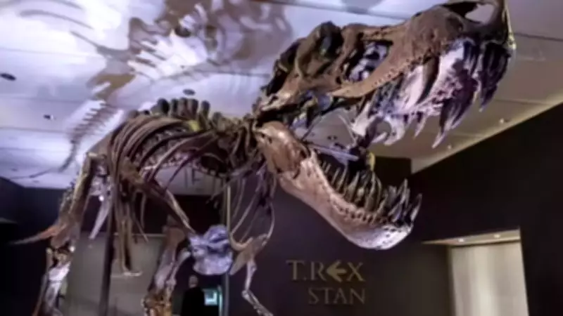 Crocodile Growth Study Challenges Dinosaur Age Calculations