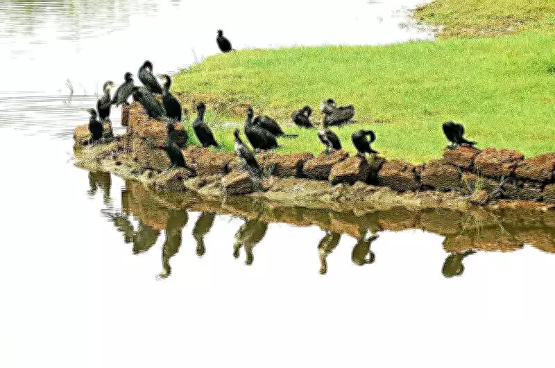 Curtorim Gram Sabha Rejects Mega Project Over Water Contamination Fears