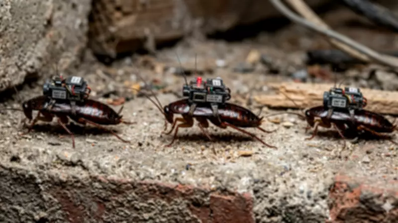 Cyborg Cockroaches: The Future of Pipeline Inspection and Industrial Safety