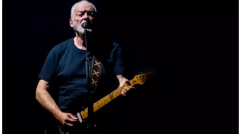 David Gilmour's Black Strat Sells for Record $14.5M at Christie's Auction