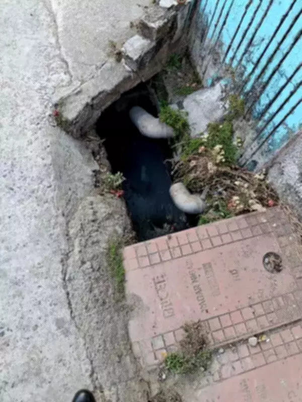 Dehradun Locality Waits 5 Years for Sewer Connections, Health Risks Mount