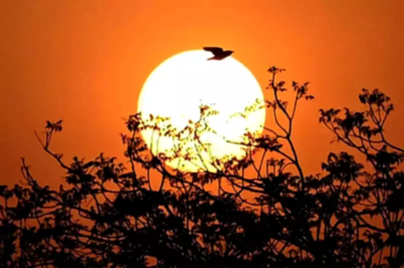 Delhi Air Quality Improves to Satisfactory, GRAP Revoked After Rain