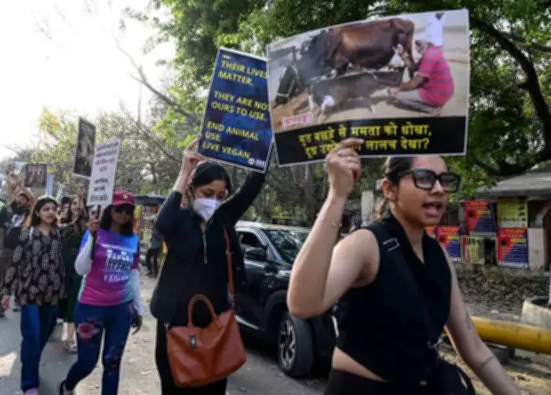 Delhi Citizens March for Animal Rights, Demand End to Institutional Cruelty