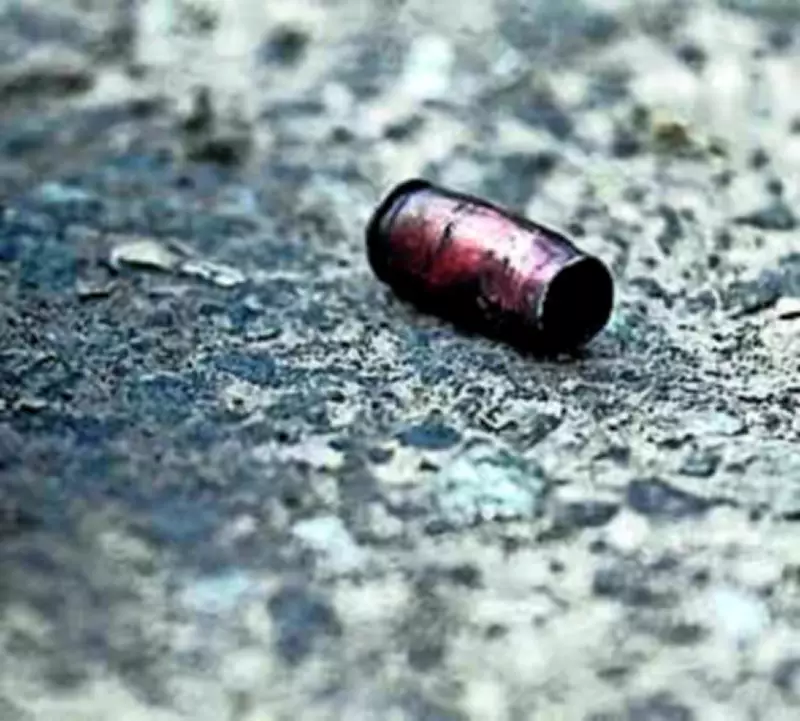 Delhi Gang War Escalates: Tajpuria Gang Resurges with Back-to-Back Killings