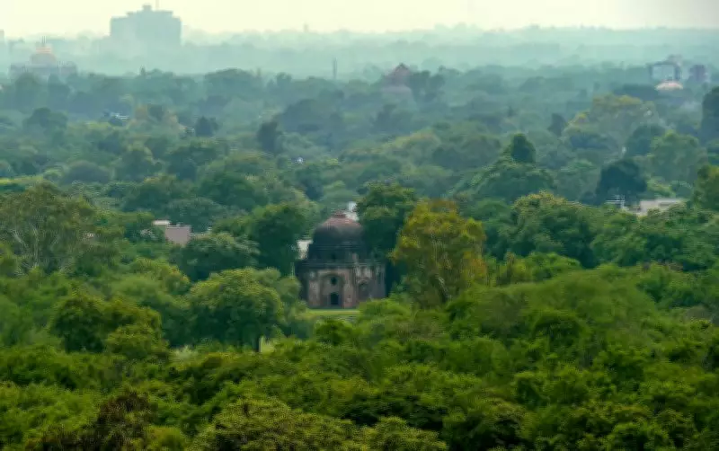 Delhi Government Announces New Forest Division Boundaries Across Capital